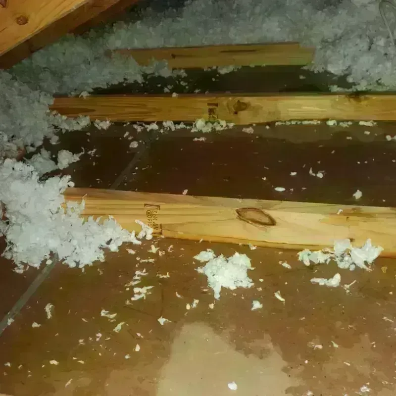 Attic Water Damage in Kapaau, HI